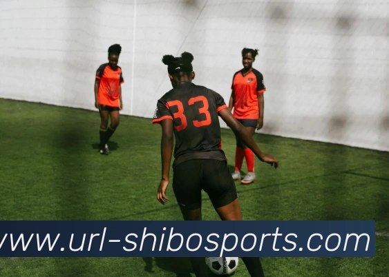 App Interface Preview